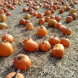 Meet your Posher, Becky